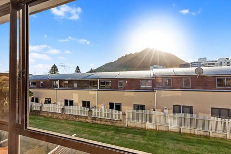 Photo of property in 40m Maunganui Road, Mount Maunganui, 3116