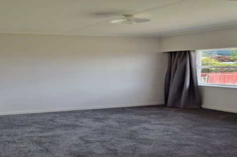 Photo of property in 23 Heaphy Street, Richmond, 7020