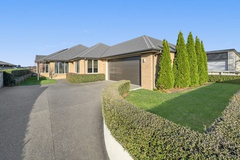 Photo of property in 61 Hawkridge Heights, Bethlehem, Tauranga, 3110