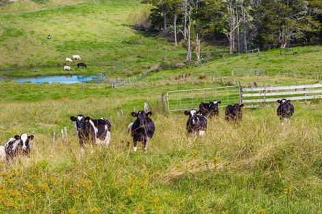 Photo of property in 122 Hurndall Street East, Maungaturoto, 0520