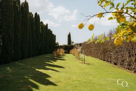 Photo of property in 24 Plane Tree Lane, Tauriko, Tauranga, 3110