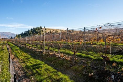 Photo of property in 101 Wooing Tree Avenue, Cromwell, 9310