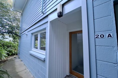 Photo of property in 20 Nutsey Avenue, Northcote, Auckland, 0627