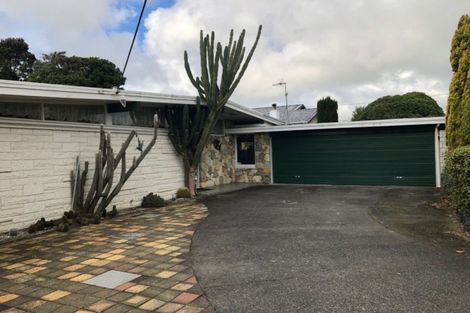 Photo of property in 16 Saxton Street, Levin, 5510