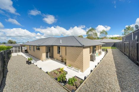 Photo of property in 8 Poplar Grove, Feilding, 4702