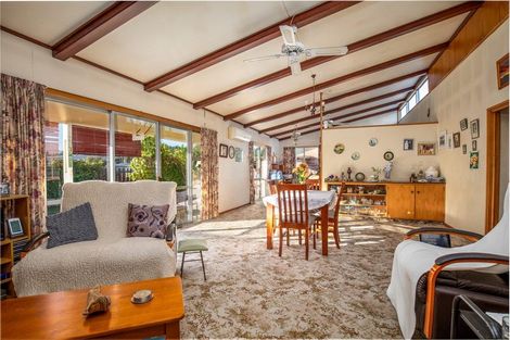 Photo of property in 132 Tarbert Street, Alexandra, 9320