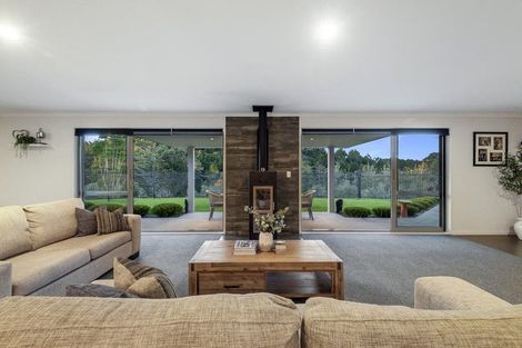 Photo of property in 253 Horseshoe Bush Road, Dairy Flat, Albany, 0794