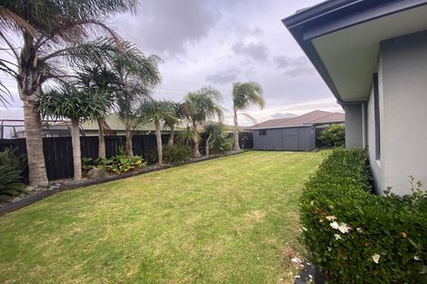 Photo of property in 24 Silkwood Crescent, Karaka, Papakura, 2113