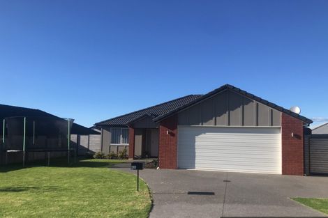 Photo of property in 43 Bert Wall Drive, Omokoroa, 3114