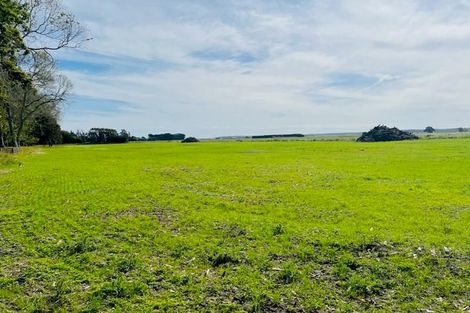 Photo of property in 1416 Parewanui Road, Parewanui, Tangimoana, 4894