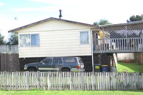 Photo of property in 50 Hinerau Street, Henderson, Auckland, 0612