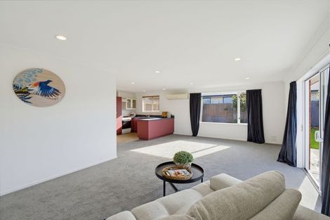 Photo of property in 37a Eton Street, Hampstead, Ashburton, 7700