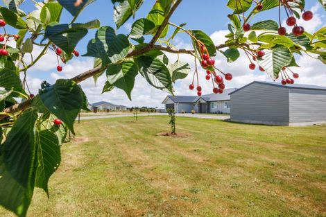 Photo of property in 455a Taonui Road, Colyton, Feilding, 4775