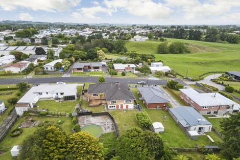 Photo of property in 15 Sholson Street, Putaruru, 3411