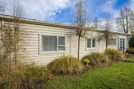 Photo of property in 48 Painstown Road, Waimate, 7978
