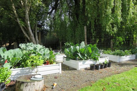 Photo of property in 15 Bridge Street, Temuka, 7920