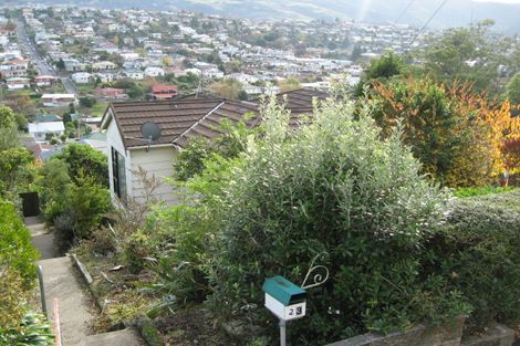 Photo of property in 23 Tyne Street, Roslyn, Dunedin, 9010