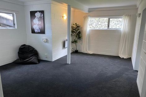 Photo of property in 8 Allen Road, Grey Lynn, Auckland, 1021