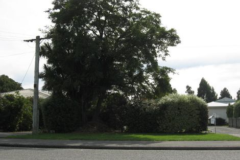 Photo of property in 119 Elizabeth Avenue, Rakaia, 7710