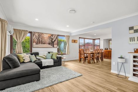 Photo of property in 21 Porter Street, Netherby, Ashburton, 7700