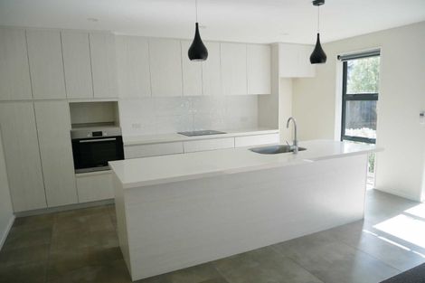 Photo of property in 53b Grafton Street, Waltham, Christchurch, 8011