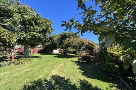 Photo of property in 21 Park Lane, Waitara, 4320