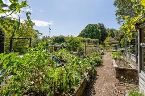 Photo of property in 49 Sarahs Hill, Hahei, Whitianga, 3591