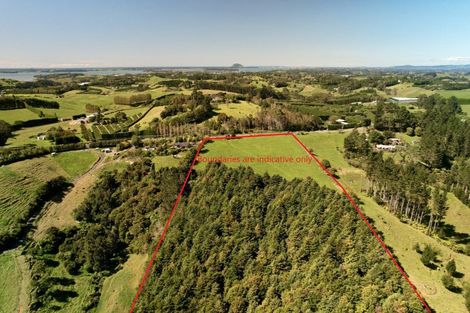 Photo of property in 262 Wainui Road South, Whakamarama, Katikati, 3181
