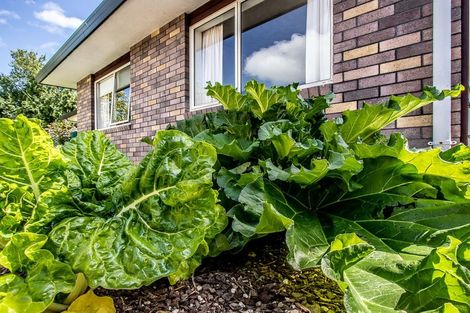 Photo of property in 16b Manchester Street, Levin, 5510