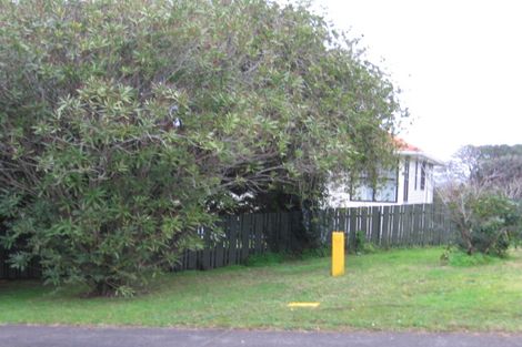 Photo of property in 47 Makiri Street, Helensville, 0800