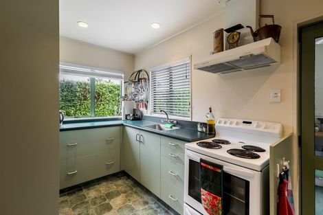 Photo of property in 17 Kiwi Street, Makarora, Wanaka, 9382