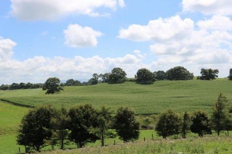 Photo of property in 399 Waotu South Road, Waotu, Putaruru, 3481