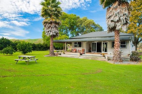 Photo of property in 144 Ngakoroa Road, Ormond, Gisborne, 4071
