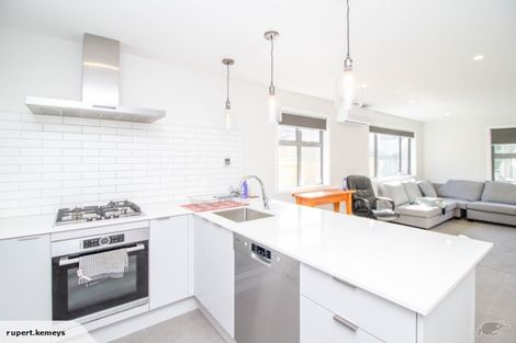 Photo of property in 113a Witako Street, Epuni, Lower Hutt, 5011