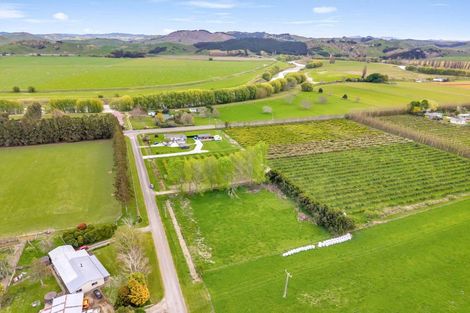 Photo of property in 15 Bond Road, Ormond, Gisborne, 4071