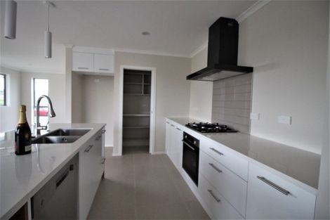 Photo of property in 25 Maggie Place, Chartwell, Hamilton, 3210