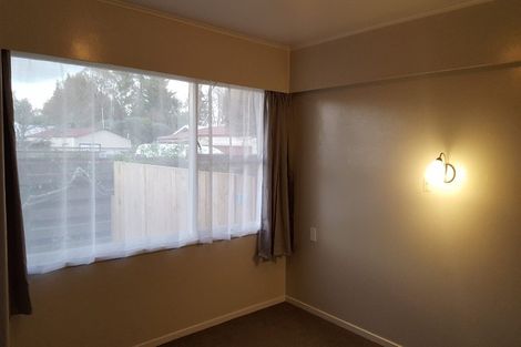 Photo of property in 133 Fitzroy Avenue, Fitzroy, Hamilton, 3206