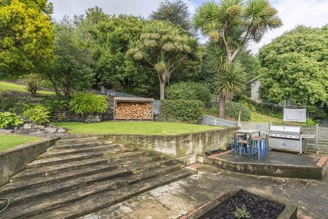 Photo of property in 4 Riselaw Road, Calton Hill, Dunedin, 9012