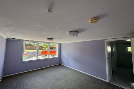 Photo of property in 13 Freemont Street, Chartwell, Hamilton, 3210