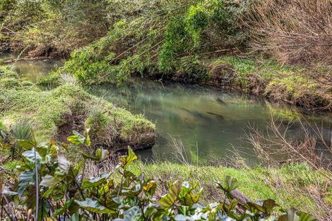 Photo of property in 915 Fairburn Road, Kaitaia, 0482