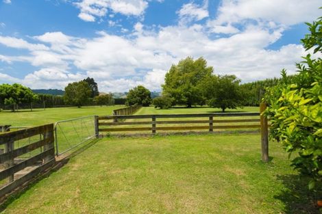 Photo of property in 862 Matawai Road, Ormond, Gisborne, 4071
