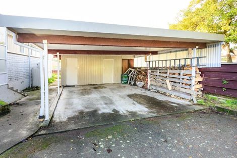 Photo of property in 113 Long Melford Road, Awapuni, Palmerston North, 4412