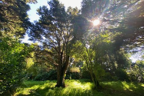 Photo of property in 194 Underhill Road, Woodside, Greytown, 5794