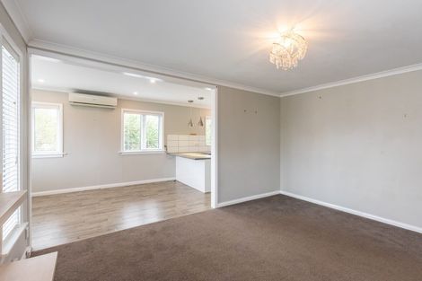 Photo of property in 43 Liverpool Street, Levin, 5510