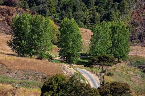 Photo of property in 88 Waere Valley Lane, Warkworth, 0981