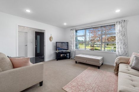 Photo of property in 228 Carmichael Road, Bethlehem, Tauranga, 3110