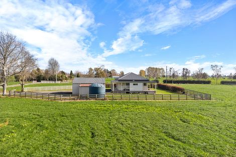 Photo of property in 446 Maiseys Road, Waharoa, Matamata, 3471