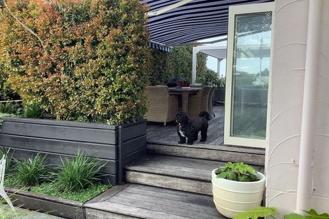 Photo of property in 48b Golf Road, Mount Maunganui, 3116