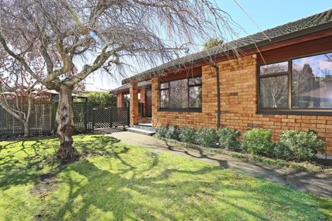 Photo of property in 63 James Cook Street, Havelock North, 4130