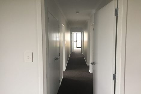 Photo of property in 41 Bert Wall Drive, Omokoroa, 3114